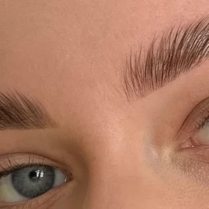 Brow Lamination Course